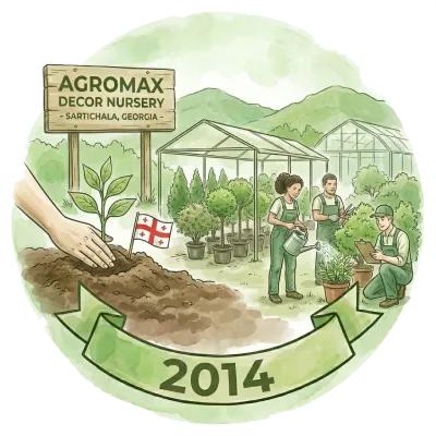 professional landscape design georgia